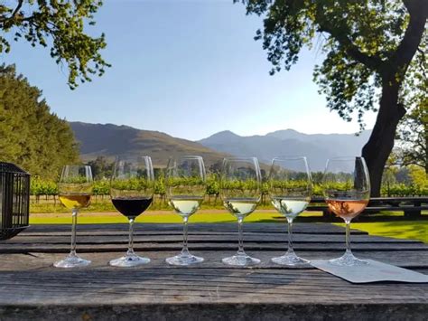 The 6 Best Stellenbosch Wine Tasting Tours You Can't Miss!