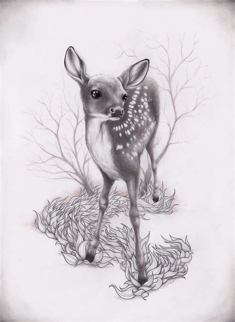 277 best FAWN SKETCHES images on Pinterest | Deer art, Art drawings and ...