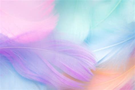 Premium Photo | Pastel colour feather abstract background | Pastel ...