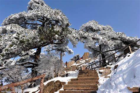 Yellow Mountain in Winter, Travel Photos of Yellow Mountain China, Mt.Huangshan Pictures - Easy ...