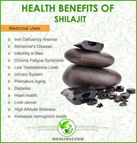 14 Benefits of Shilajit: The Ancient Himalayan Superfood