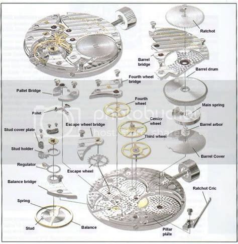 Names of Movement Parts