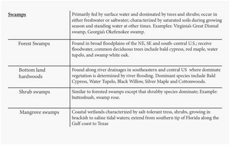 Types Of Wetlands Continued Wetland Types - Sachverständiger, HD Png Download - kindpng