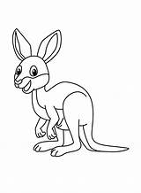 Happy Kangaroo coloring Page  Download Print Or Color Online For Free sketch template