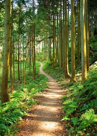 4 Best Hiking And Walking Trails In Hampton, VA | Holcomb Law, P.C.
