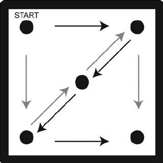 Diagram of experimental trawling of five sites of the impacted area.... | Download Scientific ...