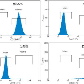 Flow cytometry analysis of cell surface markers in MSCs at passage 3 ...