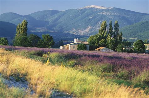 Why You Need to Visit Provence, France - Images of Provence, France