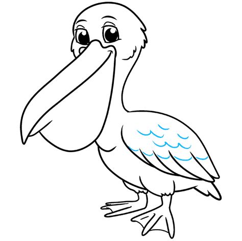 How to Draw a Pelican - Really Easy Drawing Tutorial