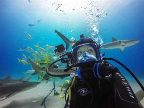 GoPro Broadcast First-Ever Underwater Livestream - DeeperBlue.com