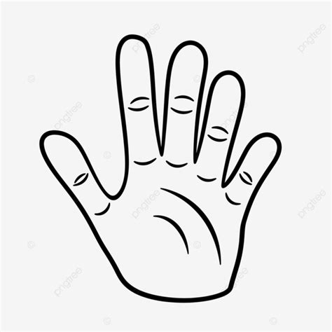 Five Finger Hand Drawing Vector, Basic Simple Cute Cartoon Cartoon Hand Outline, Isolated On ...