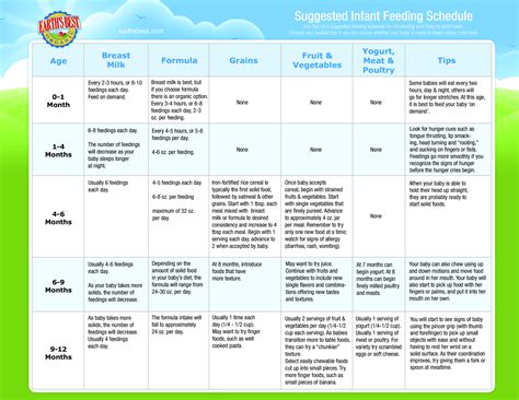 Infant Feeding Schedule By Age | Templates at allbusinesstemplates.com