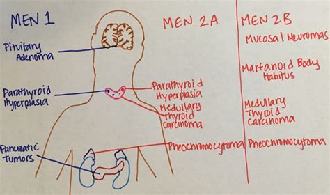 Polyendocrinopathies