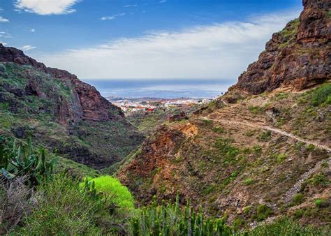 The best Tenerife hiking trails