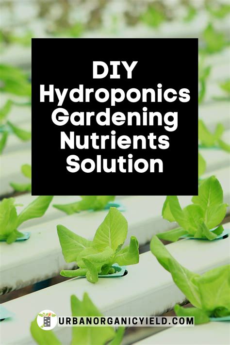 Easy Guide to Making Your Own Hydroponics Nutrients Solution | Hydroponic nutrient solution ...