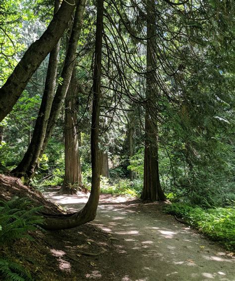 9 Best Parks in Burnaby for a Few Hours of Relaxing Nature | Noms Magazine