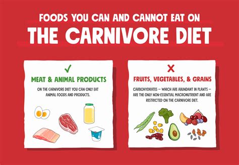 Carnivore diet meal plan for beginners – Artofit