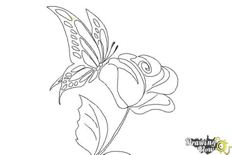 How to Draw a Butterfly On a Flower - DrawingNow