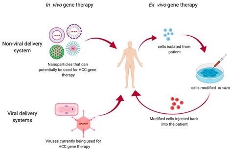 Gene Therapy Cancer