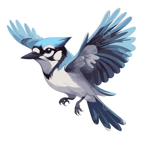 Flying Blue Jay, Sticker Clipart Blue Jay Vector Illustrations Cartoon ...