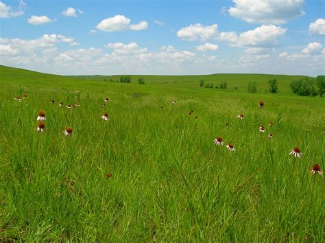 Tall Grass Prairie National Preserve, Kansas (USA) | Flickr