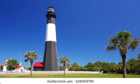552 Tybee Island Lighthouse Images, Stock Photos, 3D objects, & Vectors | Shutterstock