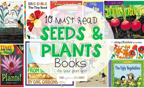 10 Must Read Seeds and Plants Books for Your Classrom