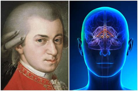 Mozart Effect: How Does Mozart's Music Affect the Brain? - Learning Mind