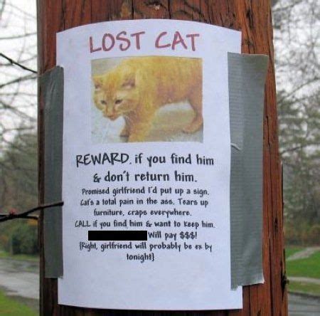 10 Funny Missing Pet Signs - CatTime in 2020 | Lost cat poster, Losing a pet, Lost cat