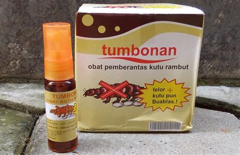 7 Rekomendasi Obat Kutu Rambut untuk Anak yang Wajib Ibu Ketahui | BukaReview