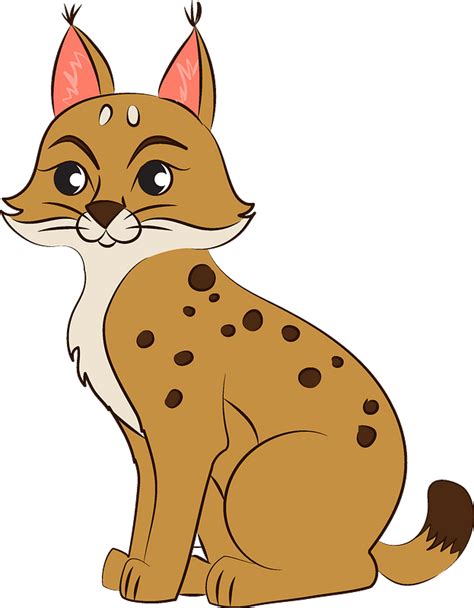 Bobcat clipart. Free download transparent .PNG | Creazilla