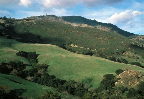 4 Contra Costa County Parks to Visit in Spring | Via