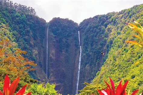 Wild Waipio, the Hawaii Island Valley Lost to Time - Hawaii Magazine