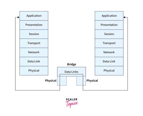 Bridge vs Repeater - Scaler Topics