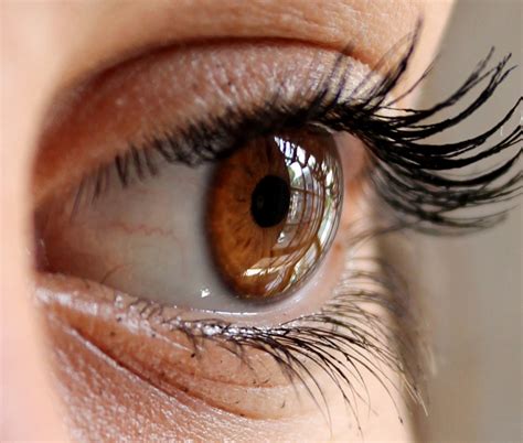 Eye Conditions | Eye Problems | List Of Eye Health Conditions