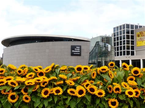 Van-Gogh-Museum_Sunflowers-at-opening-new-entrance_Photo-by-Conscious-Travel-Guide-Amsterdam ...