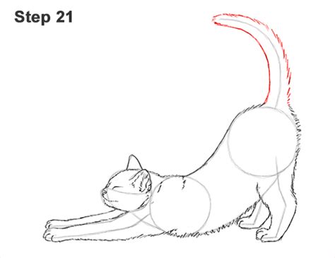 How to Draw a Cat (Stretching)