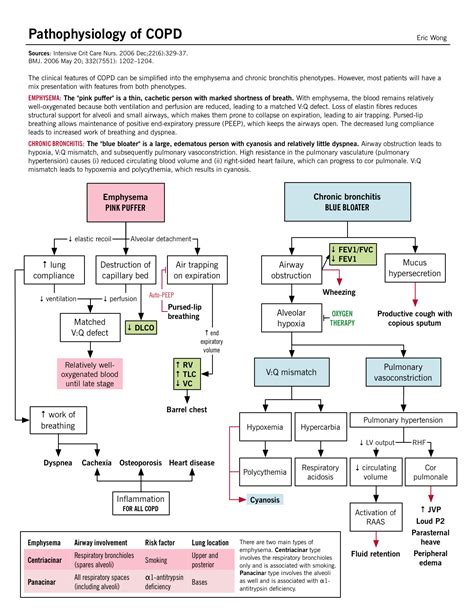 Chronic obstructive pulmonary disease (COPD) – McMaster Pathophysiology Review