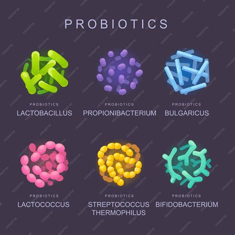 Premium Vector | Beneficial bacteria probiotics microorganisms for ...