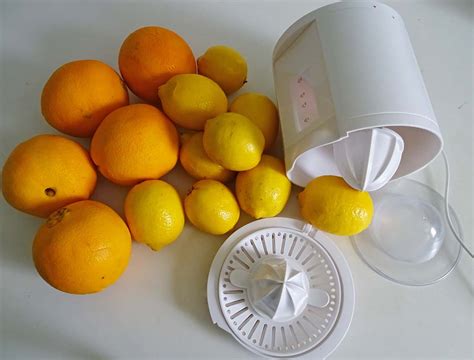 Day 2 Of 30 Days With Lemon: Make Orange And Lemon Juice | ANINO