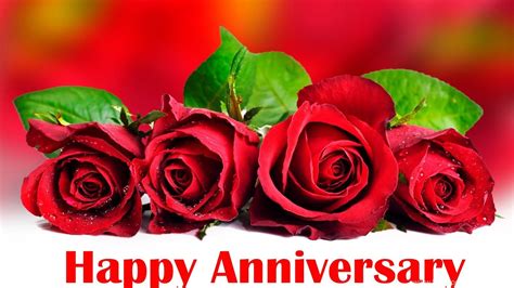 Happy Anniversary Red Roses Wallpapers Desktop Background