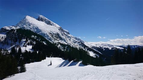 The Alphorn in the USA · Swiss Alphorn