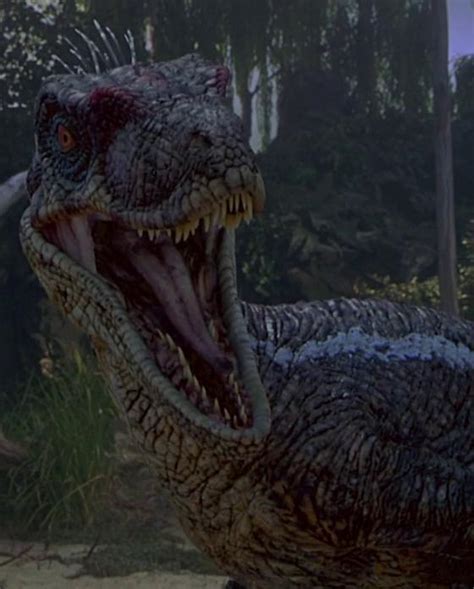 Image - Raptor (Jurassic Park III).JPG | Villains Wiki | FANDOM powered ...