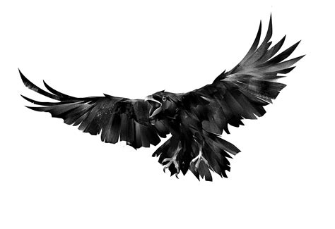 Buy Dopetattoo 6 sheets Temporary Tattoos Raven Tattoos Crow Fake tattoos for Men Women Neck Arm ...