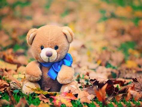 Autumn Teddy Bear Wallpapers - Wallpaper Cave