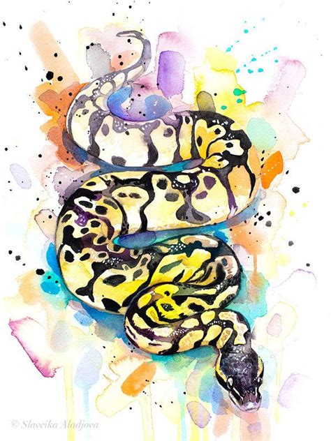 Pastel boule python serpent aquarelle peinture impression par Slaveika ...