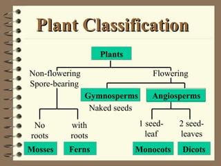 Classification of plants | PPT