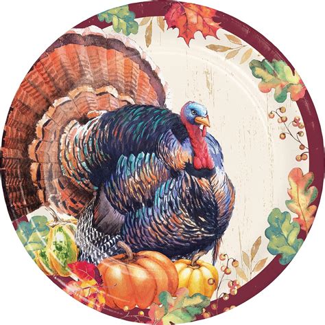 Amazon.com: Thanksgiving Turkey Paper Plates, 24 ct : Home & Kitchen