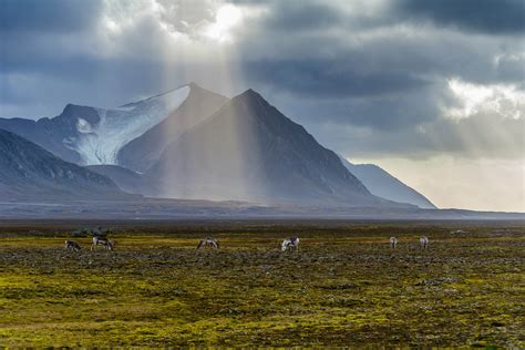 Svalbard travel | Norway - Lonely Planet