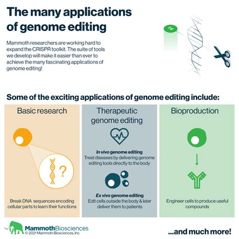 The many applications of (CRISPR) genome editing - Mammoth Biosciences